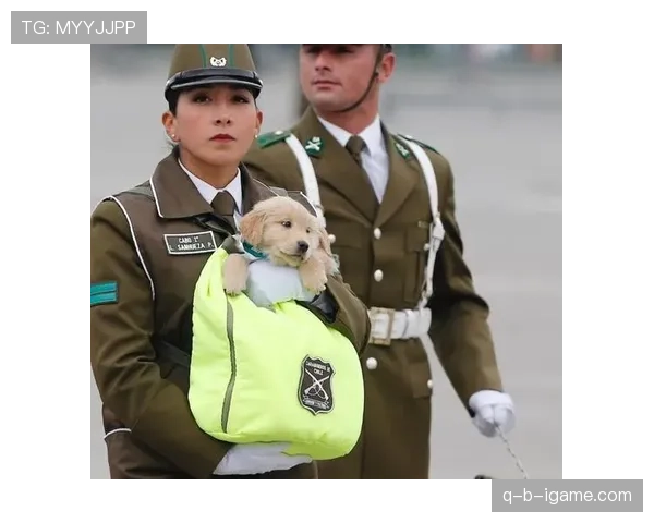 智利队新阵容展示实力，备受期待在国际赛场上的表现分析
